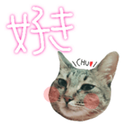 CATmarumaru sticker #15022815
