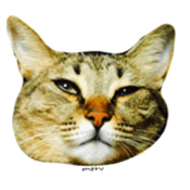 CATmarumaru sticker #15022823
