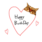 CATmarumaru sticker #15022831