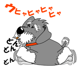 Spunky Miniature Schnauzer sticker #15026046