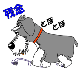Spunky Miniature Schnauzer sticker #15026047