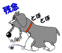 Spunky Miniature Schnauzer sticker #15026047