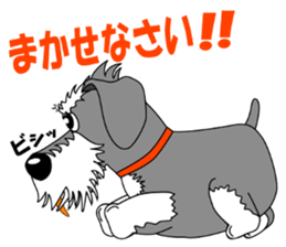 Spunky Miniature Schnauzer sticker #15026048