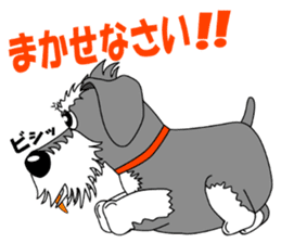 Spunky Miniature Schnauzer sticker #15026048