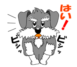 Spunky Miniature Schnauzer sticker #15026049