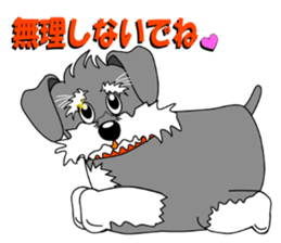 Spunky Miniature Schnauzer sticker #15026052