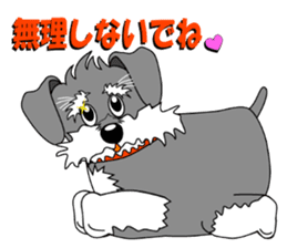 Spunky Miniature Schnauzer sticker #15026052