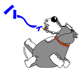 Spunky Miniature Schnauzer sticker #15026054