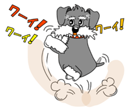 Spunky Miniature Schnauzer sticker #15026056