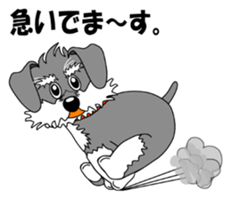 Spunky Miniature Schnauzer sticker #15026057