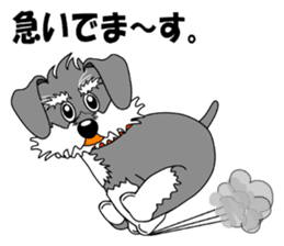 Spunky Miniature Schnauzer sticker #15026057
