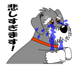 Spunky Miniature Schnauzer sticker #15026059