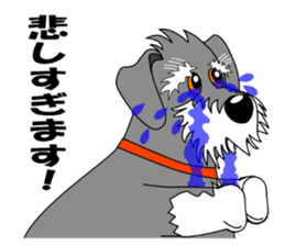 Spunky Miniature Schnauzer sticker #15026059
