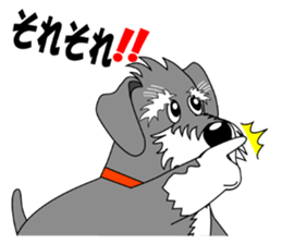 Spunky Miniature Schnauzer sticker #15026060