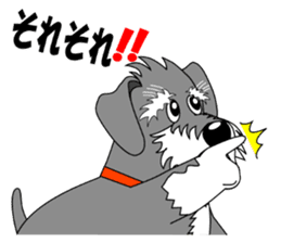 Spunky Miniature Schnauzer sticker #15026060