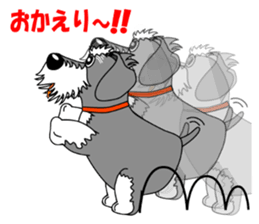 Spunky Miniature Schnauzer sticker #15026064