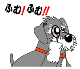 Spunky Miniature Schnauzer sticker #15026066