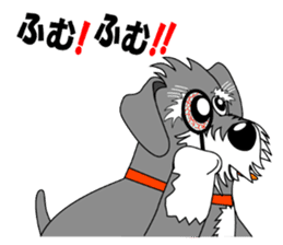 Spunky Miniature Schnauzer sticker #15026066