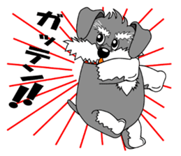 Spunky Miniature Schnauzer sticker #15026067