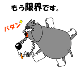 Spunky Miniature Schnauzer sticker #15026068