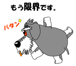 Spunky Miniature Schnauzer sticker #15026068