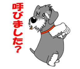 Spunky Miniature Schnauzer sticker #15026071