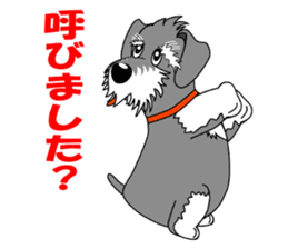 Spunky Miniature Schnauzer sticker #15026071