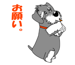 Spunky Miniature Schnauzer sticker #15026072