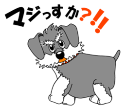 Spunky Miniature Schnauzer sticker #15026076