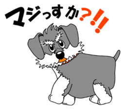 Spunky Miniature Schnauzer sticker #15026076
