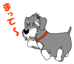 Spunky Miniature Schnauzer sticker #15026077