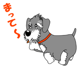 Spunky Miniature Schnauzer sticker #15026077