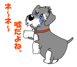 Spunky Miniature Schnauzer sticker #15026078