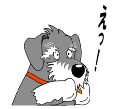 Spunky Miniature Schnauzer sticker #15026079