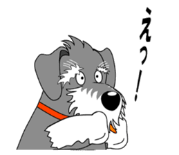 Spunky Miniature Schnauzer sticker #15026079