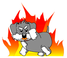 Spunky Miniature Schnauzer sticker #15026081