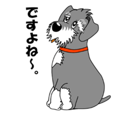Spunky Miniature Schnauzer sticker #15026082