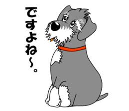 Spunky Miniature Schnauzer sticker #15026082