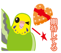 Valentine.Budgerigars budgerigar sticker #15026086