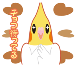 Valentine.Cockatiel with a cute cheek sticker #15026264