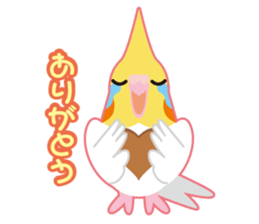 Valentine.Cockatiel with a cute cheek sticker #15026267