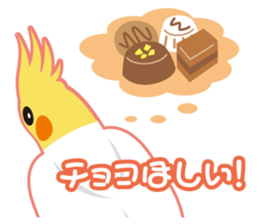 Valentine.Cockatiel with a cute cheek sticker #15026270