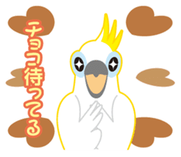 Valentine.Sulphur-Crested Cockatoo2 sticker #15026776