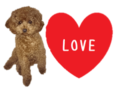 Toy poodle the MUCK. So Cute sticker #15027216