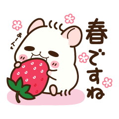 Hamster / Nagomu Spring