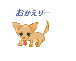 Chiwatan of chihuahua(Animation) sticker #15027878
