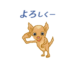 Chiwatan of chihuahua(Animation) sticker #15027879