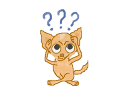 Chiwatan of chihuahua(Animation) sticker #15027885