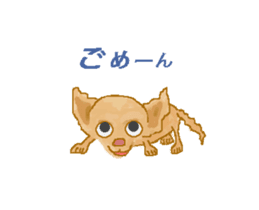Chiwatan of chihuahua(Animation) sticker #15027886