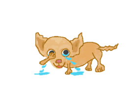 Chiwatan of chihuahua(Animation) sticker #15027887